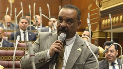 لمواجهة الاحتكار.. النائب أحمد حافظ يطالب بإنشاء بورصة زراعية وطنية تربط «الدلتا الجديدة وتوشكى»
