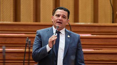 أمير الجزار: قرار وقف الأسمدة المدعمة لمحاصيل البساتين يهدد ملايين الأفدنة الزراعية