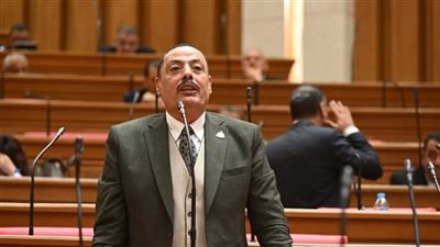 النائب أشرف أمين يطالب الحكومة بالتحقيق في مطاعم تروج لـ