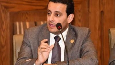 أحمد سمير زكريا: مراكز البيانات والتوسع اللوجستي يعززان تحول مصر إلى مركز اقتصادي عالمي