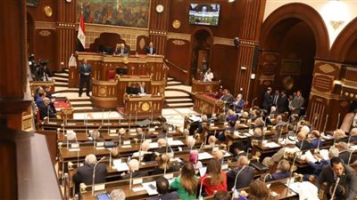 بين الرقابة والتخطيط.. تفاصيل توصيات مجلس الشيوخ بشأن خطة التنمية للعام المالي الجديد