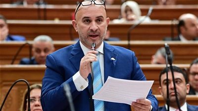 بعد تزايد جرائم الخطف والسرقة.. تحرك برلماني للنائب طارق الطويل لمصادرة 
