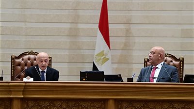 خلال استقباله عقيلة صالح.. رئيس النواب: مصر ستظل داعمة لوحدة ليبيا ومؤسساتها الوطنية