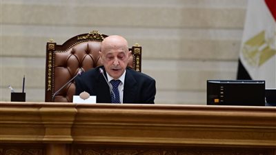 رئيس البرلمان الليبي من مجلس النواب: مصر لم تتخلَّ يومًا عن ليبيا.. والعلاقة بين الشعبين أكبر من كل المؤامرات