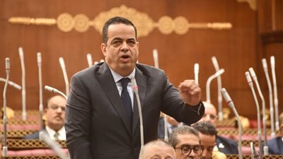 عصام هلال عفيفي: نجاح خطة التنمية يقاس بتحسين حياة المواطنين لا بالأرقام فقط