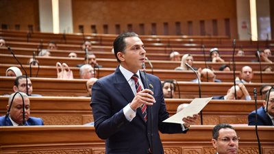 بحضور عقيلة صالح.. النائب أحمد عبدالجواد: وحدة ليبيا خط أحمر.. ومصر لن تنحاز إلا للشعب الليبي