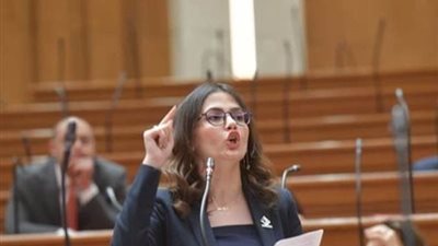 استجابة لمقترح نيفين إسكندر.. «صحة النواب» توصي بتعديل لائحة الفنادق والمنتجعات البيئية