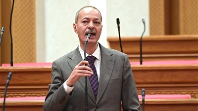 النائب حسين غيته: أصحاب العدادات الكودية يدفعون تكلفة كهرباء أعلى رغم سعيهم لتقنين أوضاعهم