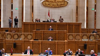 رئيس دفاع النواب لعقيلة صالح: استقرار ليبيا من أمن مصر.. والتعاون العربي خط الدفاع الأول ضد الفوضى