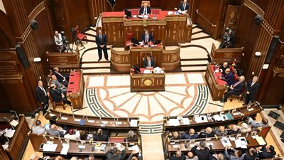 مجلس الشيوخ يوافق على خطة التنمية الاقتصادية والاجتماعية للعام المالي 2026/2027