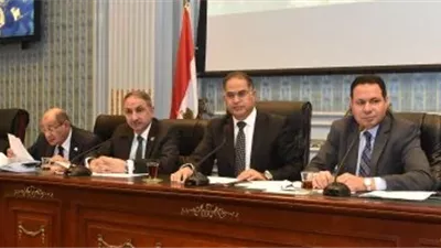 الكلاب الضالة وأزمات الترع والمصارف على مائدة لجنة الزراعة بالبرلمان