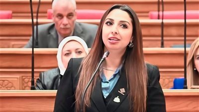 بطلب إحاطة من النائبة نشوى الشريف.. لجنة القوى العاملة تفتح 
