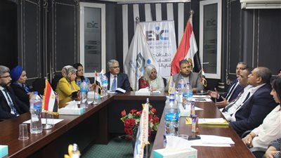 مجلس الشباب المصري يدعو لإدماج حقوق الأشخاص ذوي الإعاقة في قانون الأحوال الشخصية