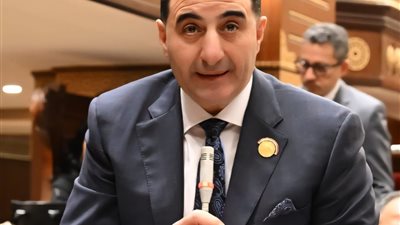 السعيد غنيم: مشاركة الرئيس السيسي في قمة G7 فرصة لتعزيز الاستثمارات والتعاون الاقتصادي