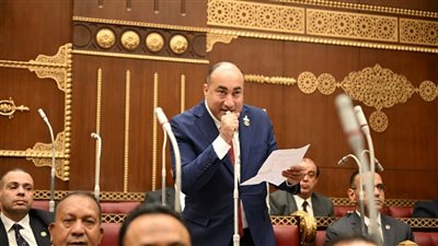 عمرو رشاد: زيارة محمد بن زايد للقاهرة تؤكد مكانة مصر المحورية في محيطها العربي والإقليمي