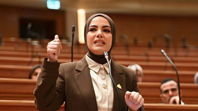 إحالة مشروع قانون 