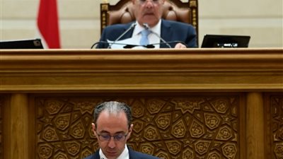 النائب شريف باشا يستعرض تقرير تقرير اللجنة المشتركة لتمويل فرنسي بـ2 مليون يورو لدعم الحماية الاجتماعية