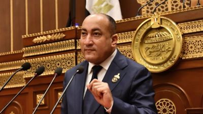 عمرو رشاد: الدولة نجحت في تحويل الصحراء إلى مصدر للغذاء والتنمية بفضل رؤية الرئيس السيسي