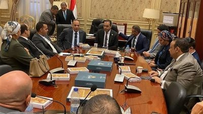 رئيس شباب النواب: لن نتهاون مع أي تقصير يهدد حياة الشباب داخل مراكز الشباب