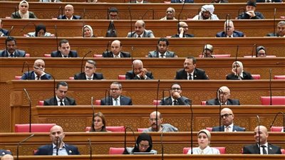 مخاطر يومية بلا مظلة حماية.. نواب يطالبون بإنهاء معاناة «عمال الدليفري» عبر تشريعات للحماية والتأمين