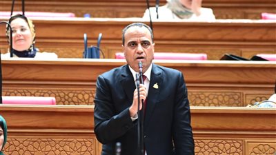 خلال جلسة البرلمان.. النائب ممدوح جاب الله يطالب بزيادة كفاءة الإنفاق الصحي واستكمال مشروعات 