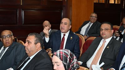 النائب عمرو رشاد يطالب بحضور محافظ الجيزة إلى مجلس الشيوخ لوضع حل جذري لمشكلات المنطقة الصناعية بأبو رواش