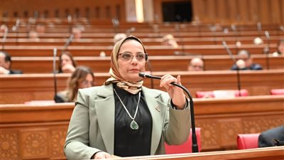 نجلاء العسيلي: لا توجد مناقشات حتى الآن بشأن قانون الأحوال الشخصية ولا جدول زمني محدد | خاص