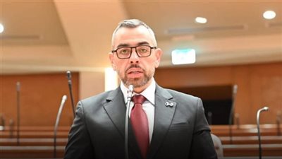 النائب محمد فؤاد: الدعم النقدي يمنح المواطن حرية أكبر في اختيار احتياجاته