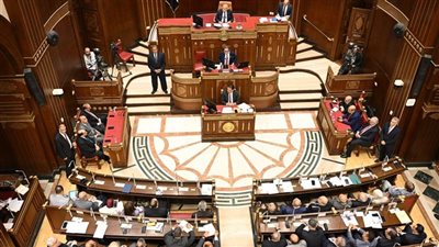 توطين صناعة الدواء على طاولة مجلس الشيوخ الأسبوع المقبل