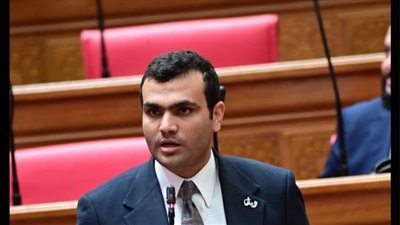 حسين هريدي يطالب بحل أزمة تأخر تحويل العدادات الكودية للحاصلين على التصالح في قنا