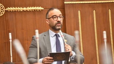 النائب أحمد الحمامصي: يجب توظيف الدراسات العليا في البحث والإنتاج لا انتظار الوظائف