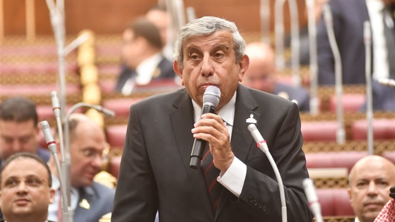 النائب علاء عبدالنبي