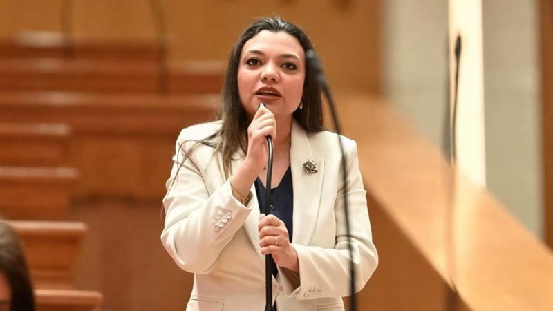 النائبة مي كرم جبر