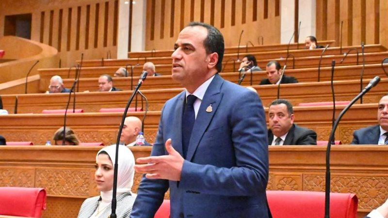 النائب ممدوح عبدالسميع جاب الله
