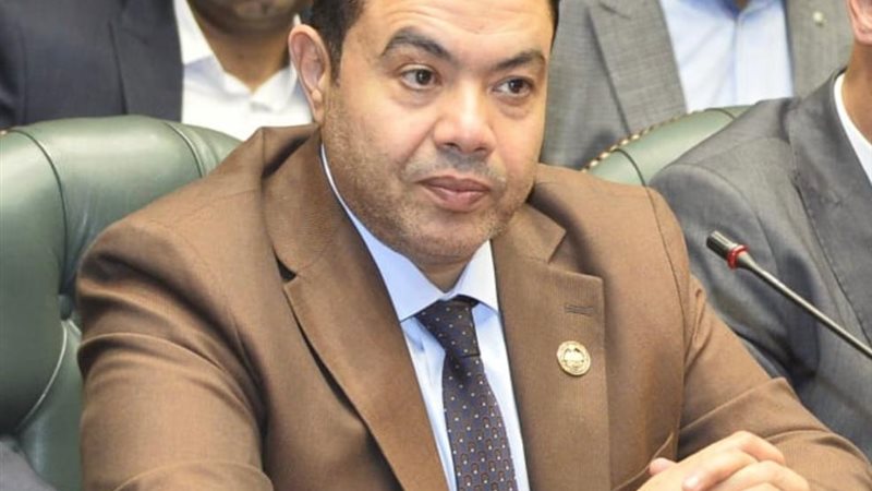 النائب إسماعيل الشرقاوي