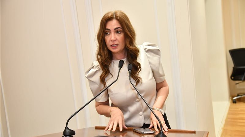النائبة أميرة العادلي