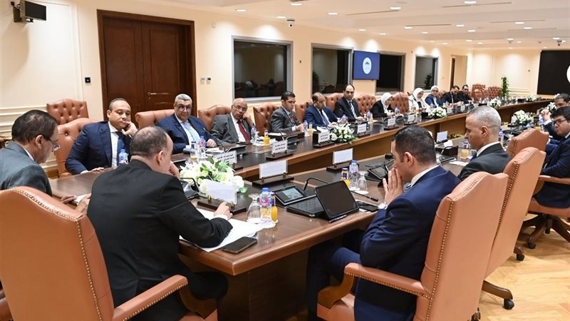 اللجنة الفرعية المشكلة
