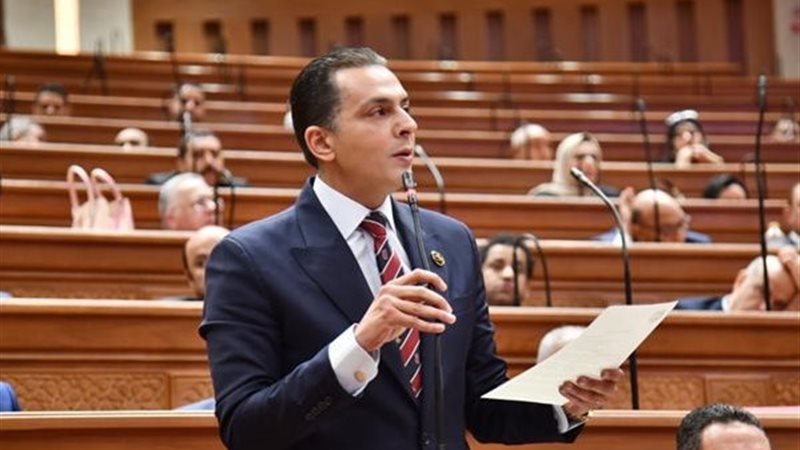 النائب أحمد عبدالجواد