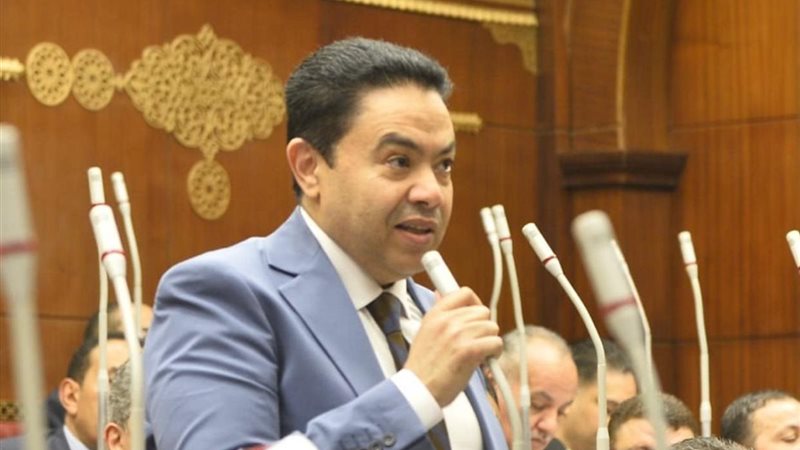 النائب إسماعيل الشرقاوي