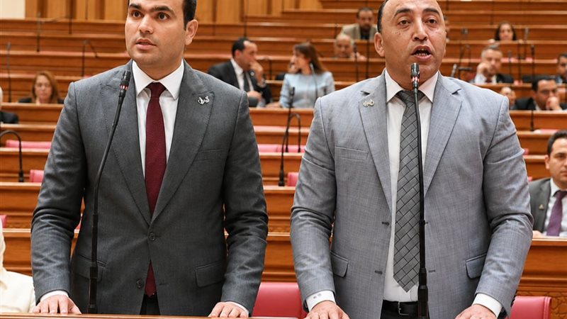 النائب حسين هريدي والنائب حسام حسن الخشت
