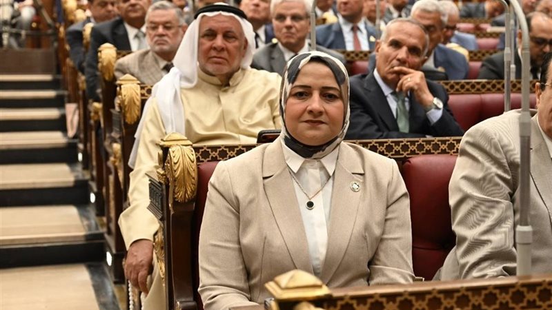 النائبة الدكتورة مروة قنصوه