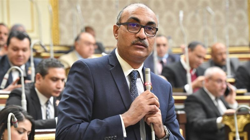 النائب إيهاب منصور