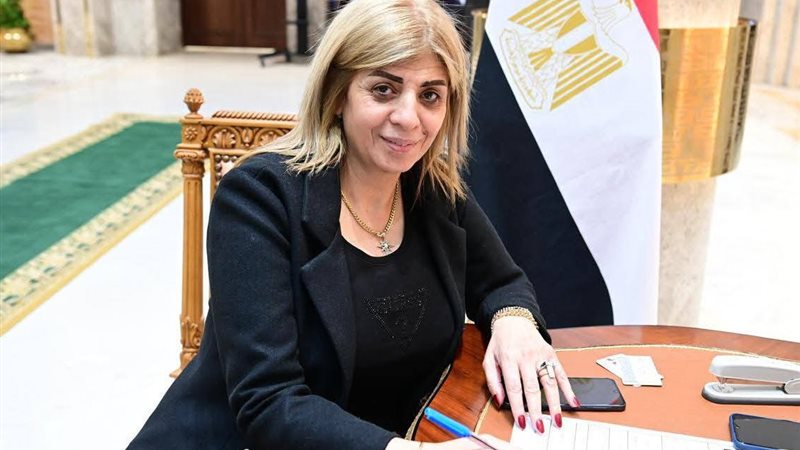 النائبة أميرة فؤاد