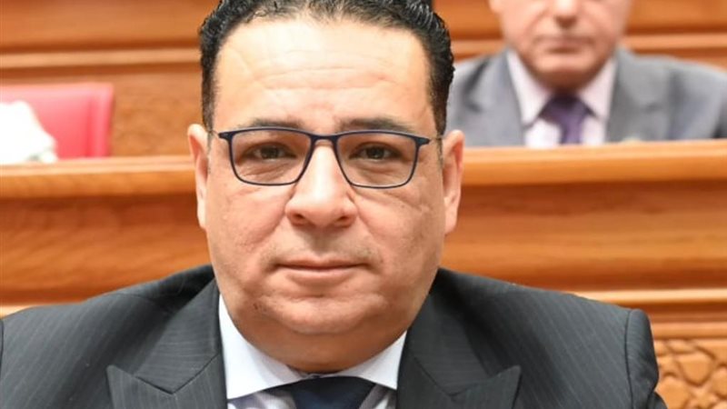 النائب عاطف عجلان