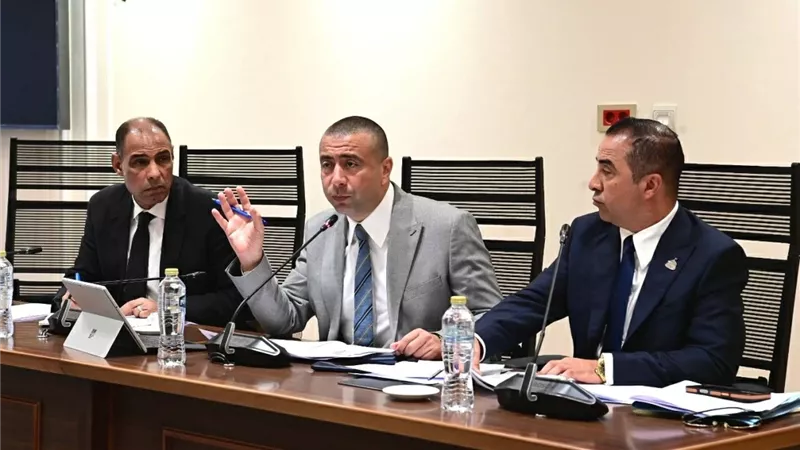 المهندس أحمد بهاء شلبي