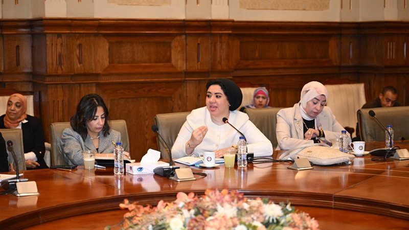  النائبة أميرة صابر