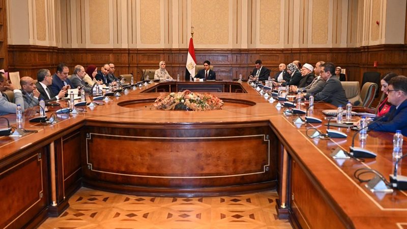 لجنة الشئون المالية والاقتصادية والاستثمار بمجلس الشيوخ،