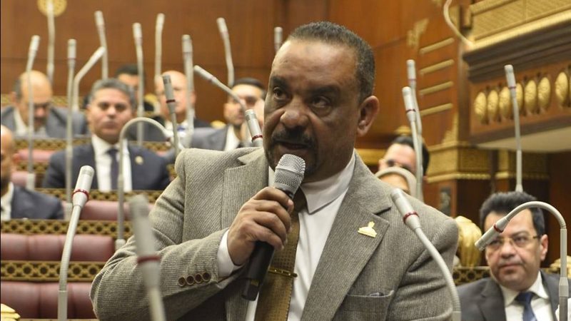 النائب أحمد حافظ