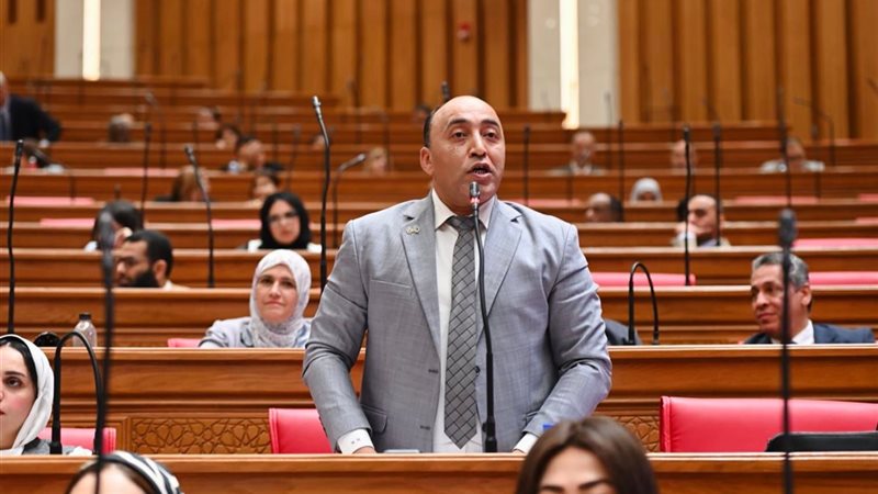 النائب حسام حسن