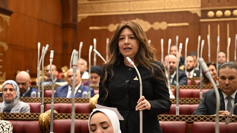 سوزي سمير، عضو لجنة الصحة والسكان بمجلس الشيوخ
